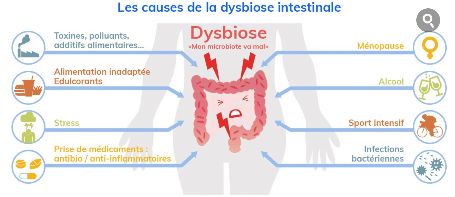 Comment avoir un microbiote intestinal en santé par l’alimentation
